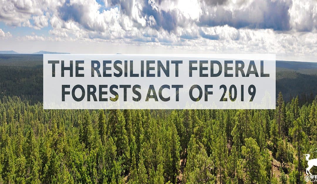 Congress Reintroduces The Resilient Federal Forests Act of 2019
